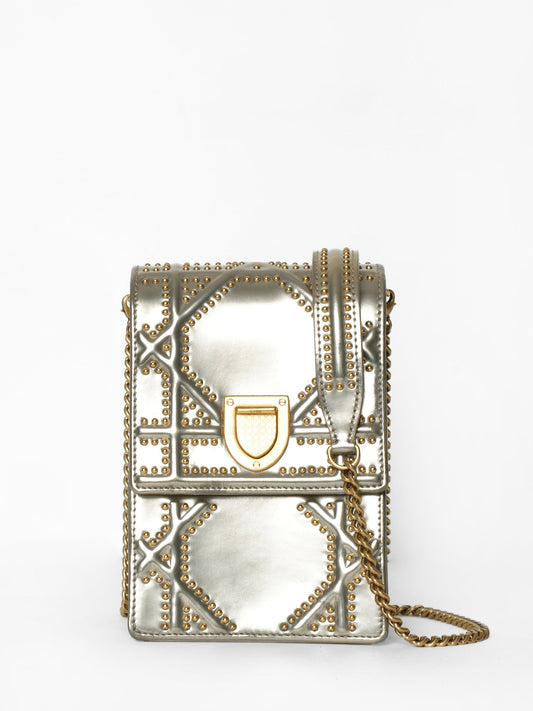 Christian Dior Diorama Studded Vertical Chain Clutch