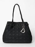 Christian Dior Panerea Tote Bag