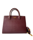Prada Bicolor Cuic Bibliotheque Tote Bag