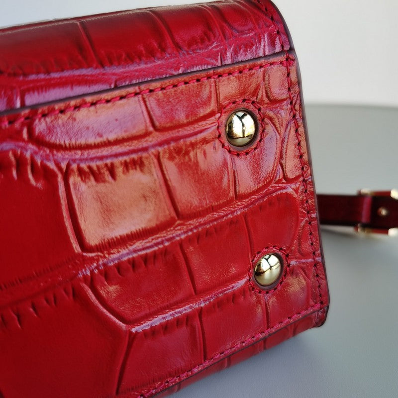 B-Berry Bags - Women Ameliave Luxury Bags - 515