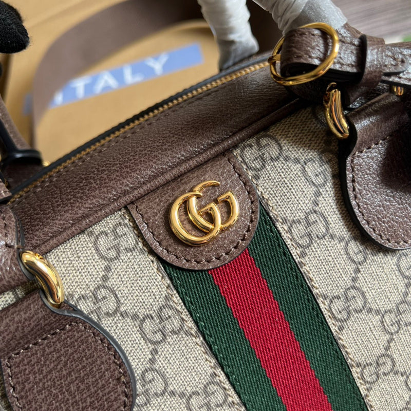 Amelia- GCI LUXURY LADY BAG - BRANDED BAGS FOR WOMEN - 387