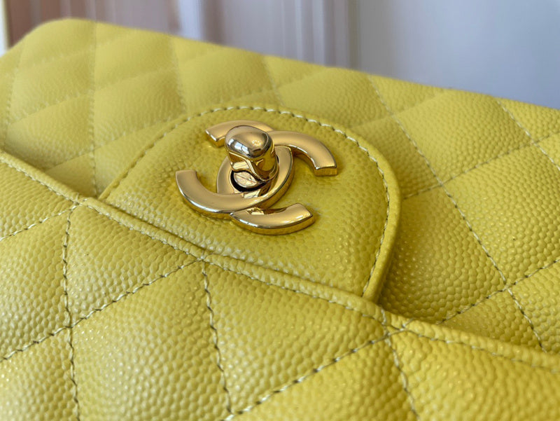 Amelia-  CHL BAGS  - 351