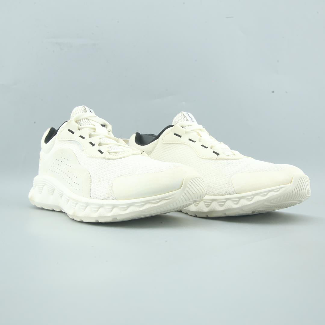 ANTA .