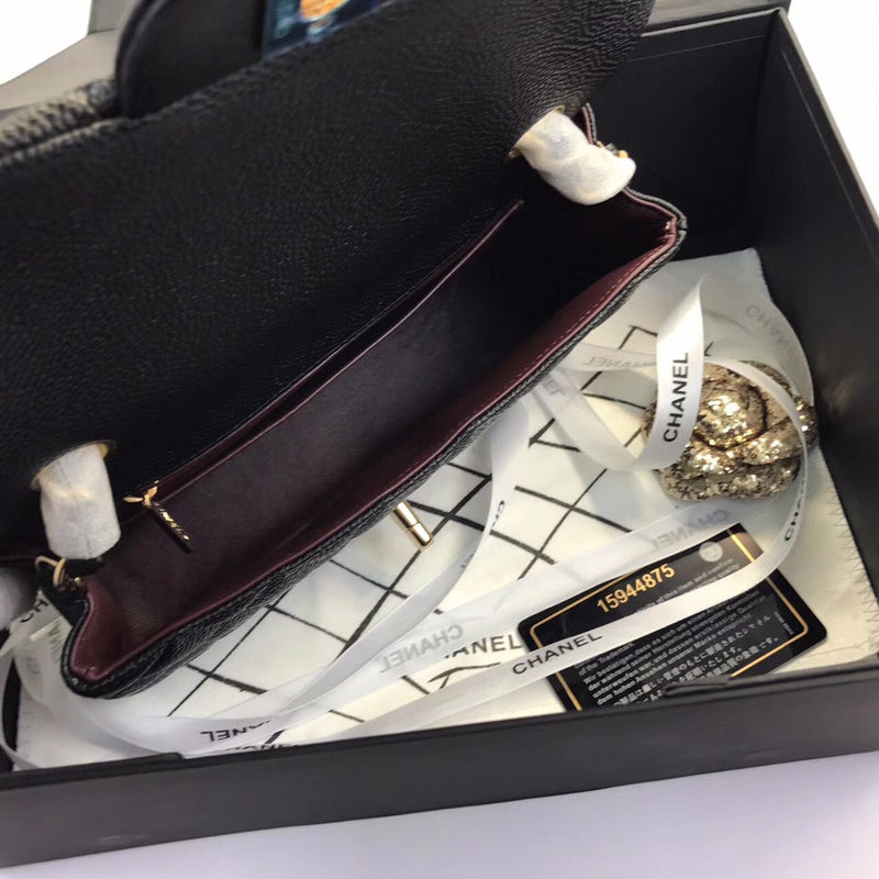 Amelia- CHL Bags - 6641
