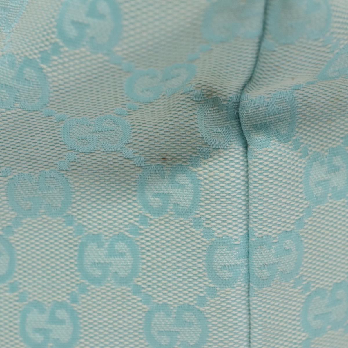 Gucci GG canvas