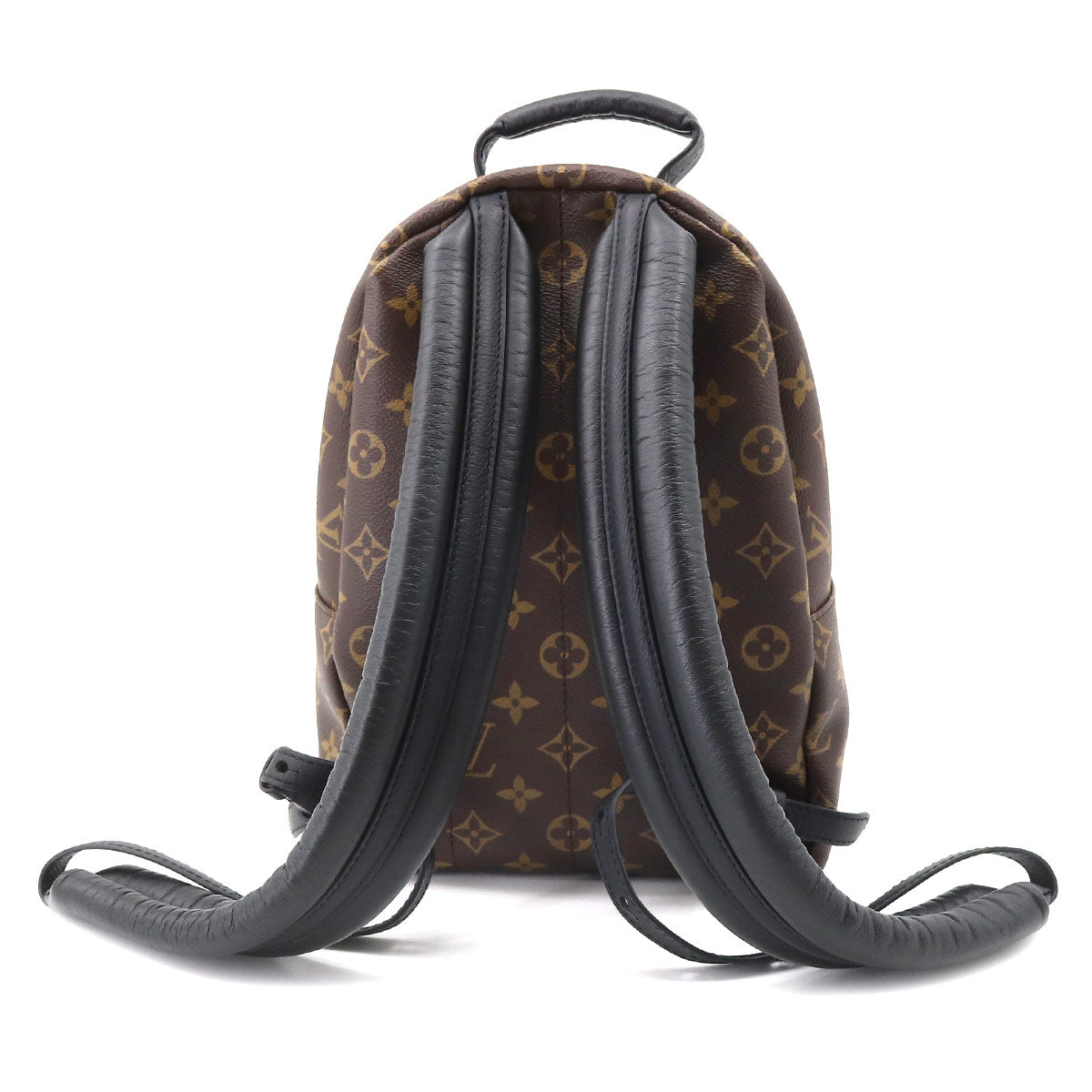 Louis Vuitton Monogram Palm Springs Backpack PM Backpack Brown