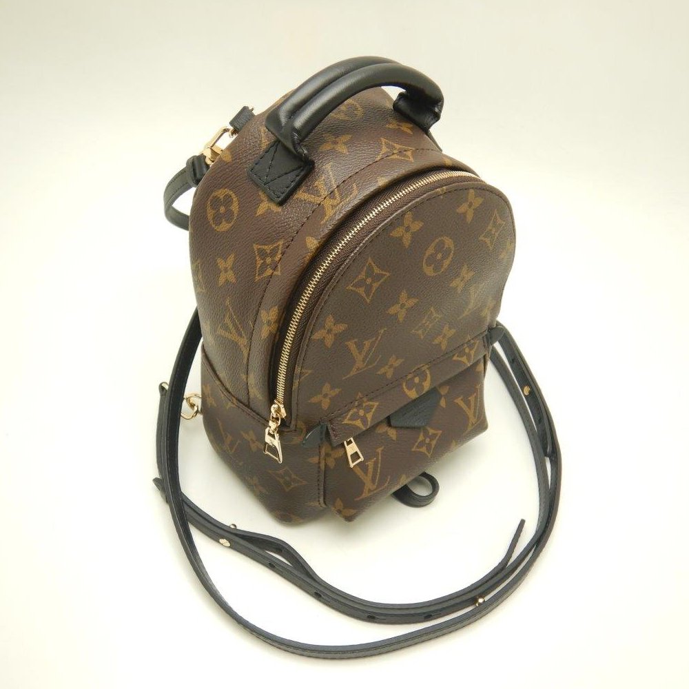 Louis Vuitton Monogram Palm Springs Backpack MINI Brown