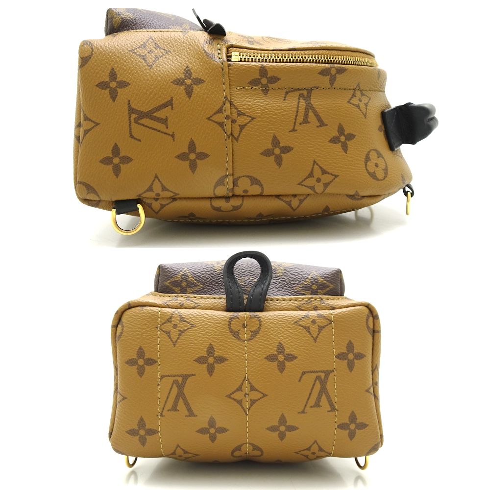 Louis Vuitton Monogram Reverse Palm Springs Mini Backpack