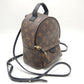 Louis Vuitton Monogram Palm Springs Backpack Mini Rucksack Brown