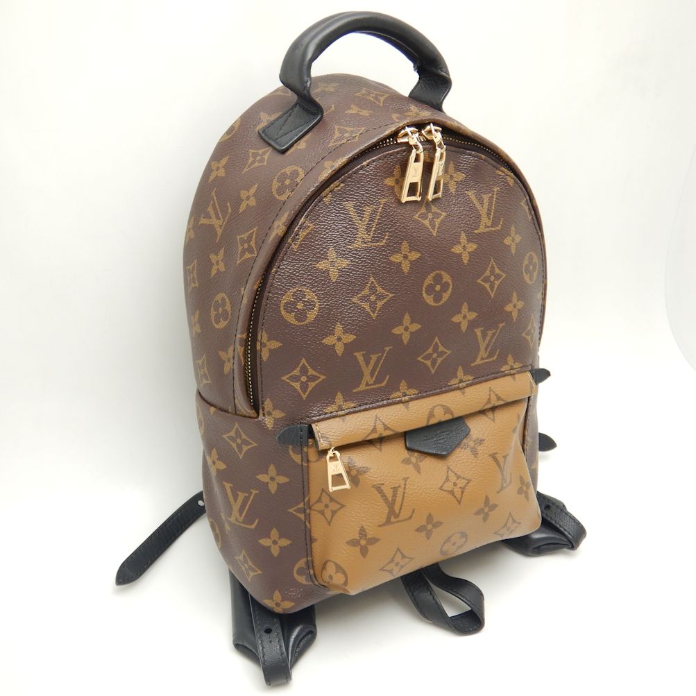 Louis Vuitton Palm Springs Backpack PM Monogram Reverse Brown