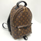 Louis Vuitton Monogram Palm Springs Rucksack Backpack PM Brown