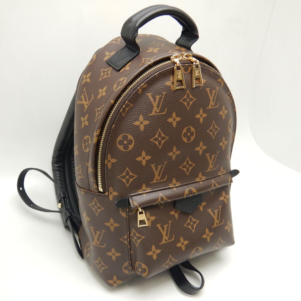 Louis Vuitton Monogram Palm Springs Rucksack Backpack PM Brown