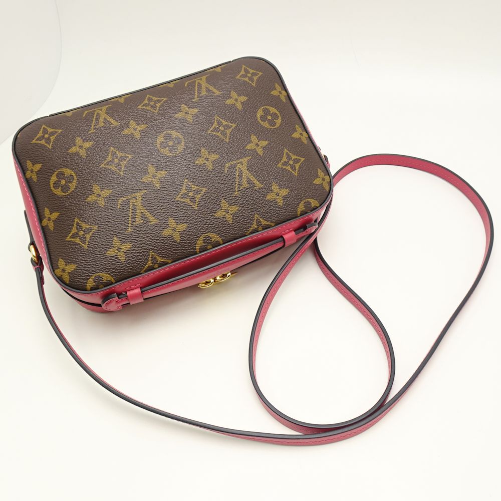 Louis Vuitton Monogram Santonge Freesia Diagonal Shoulder Bag