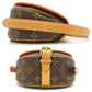 Louis Vuitton Monogram Handbag Brown