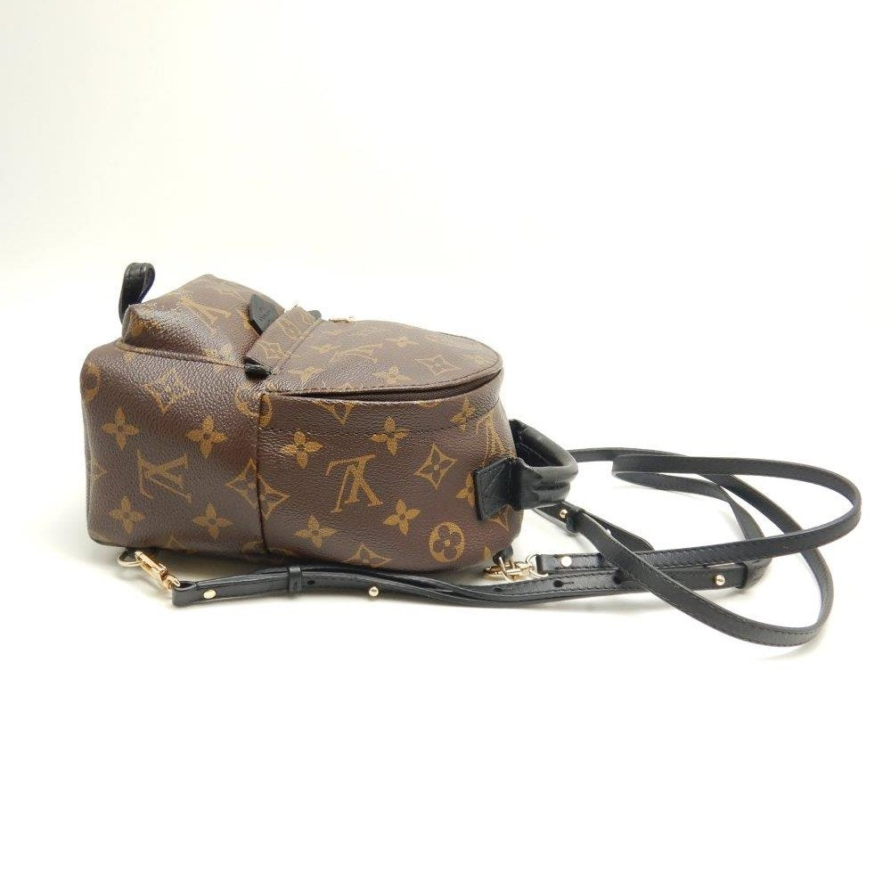 Louis Vuitton Monogram Palm Springs Backpack Mini Brown Rucksack