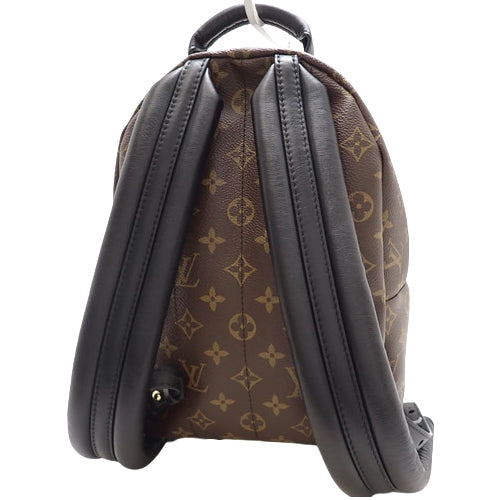 Louis Vuitton Monogram Reverse Palm Springs Backpack PM