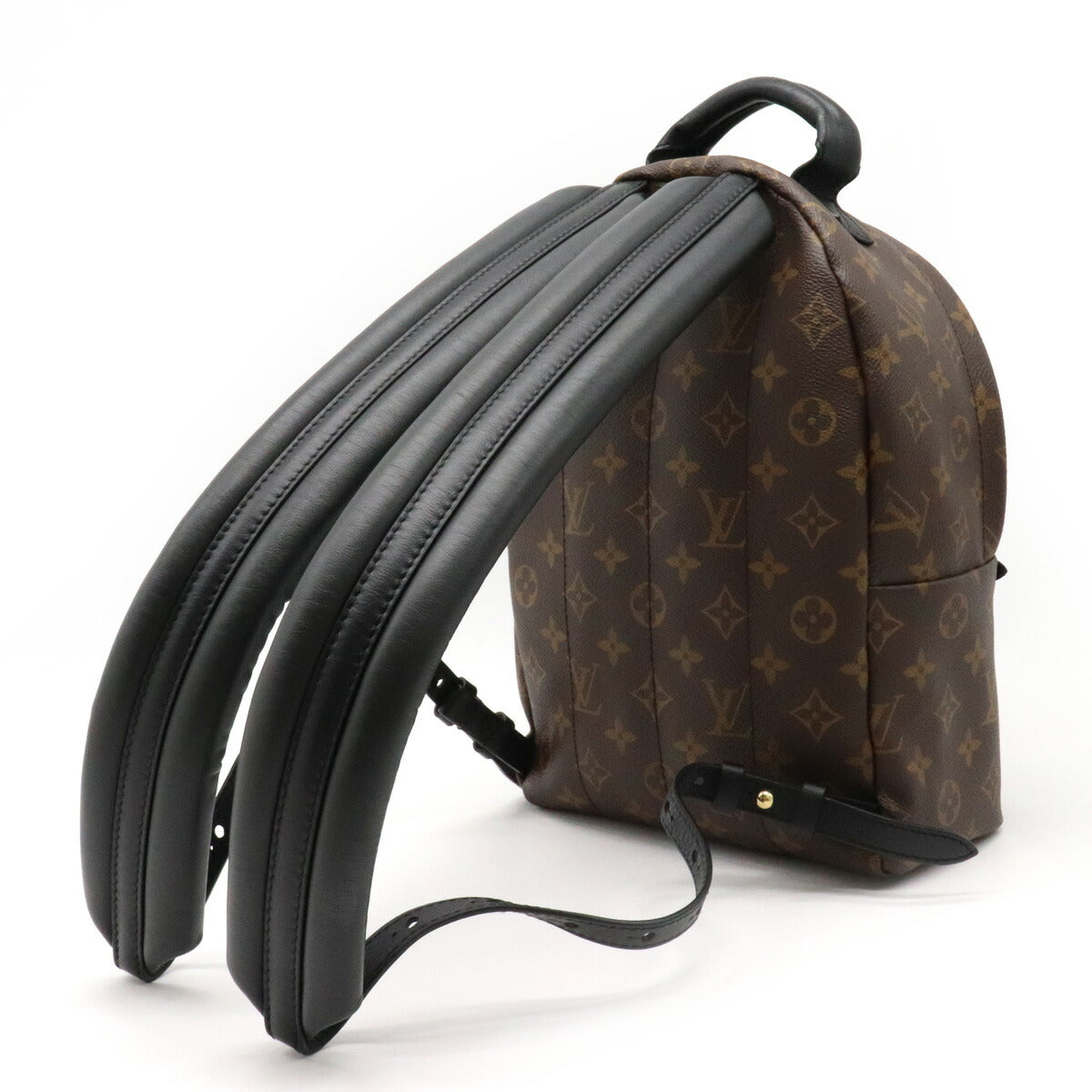 Louis Vuitton Monogram Palm Springs PM Backpack Rucksack