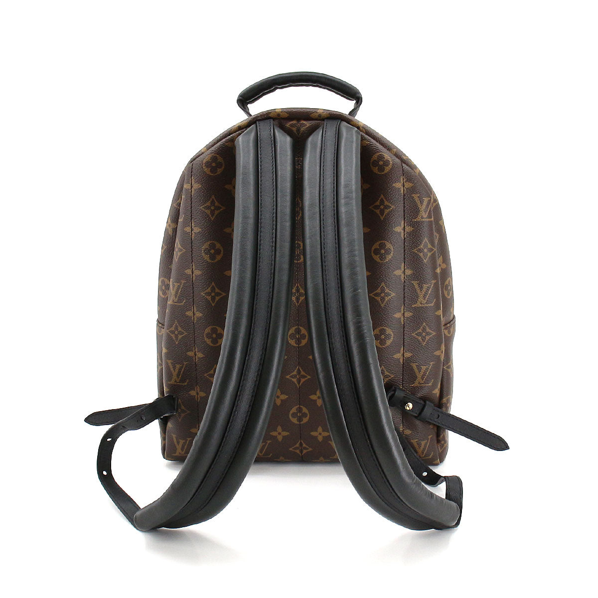 Louis Vuitton Monogram Palm Springs Backpack MM Brown