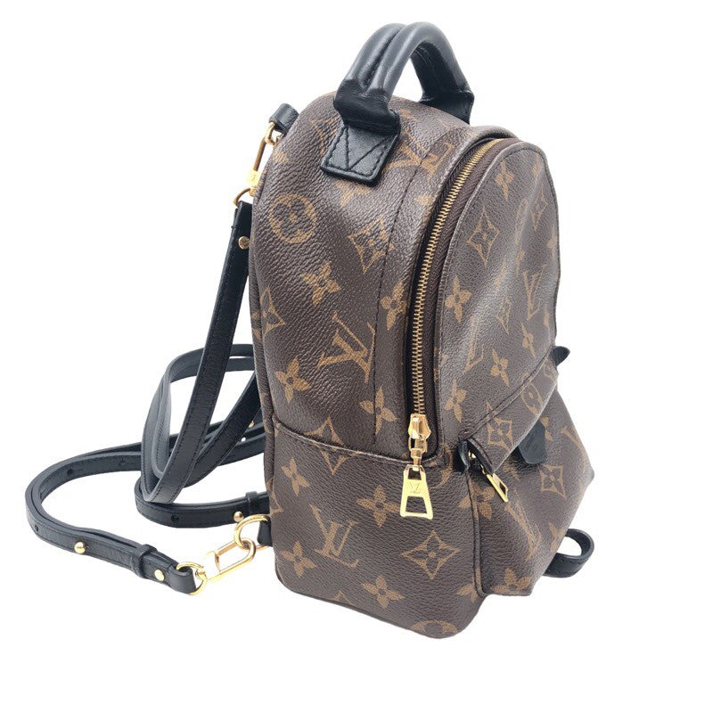 Louis Vuitton Palm Springs Mini Backpack Daypack