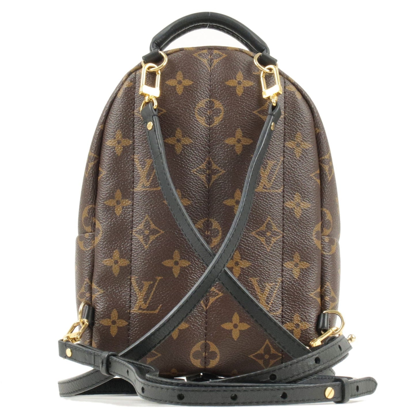 Louis Vuitton Monogram Palm Springs Backpack Mini Rucksack