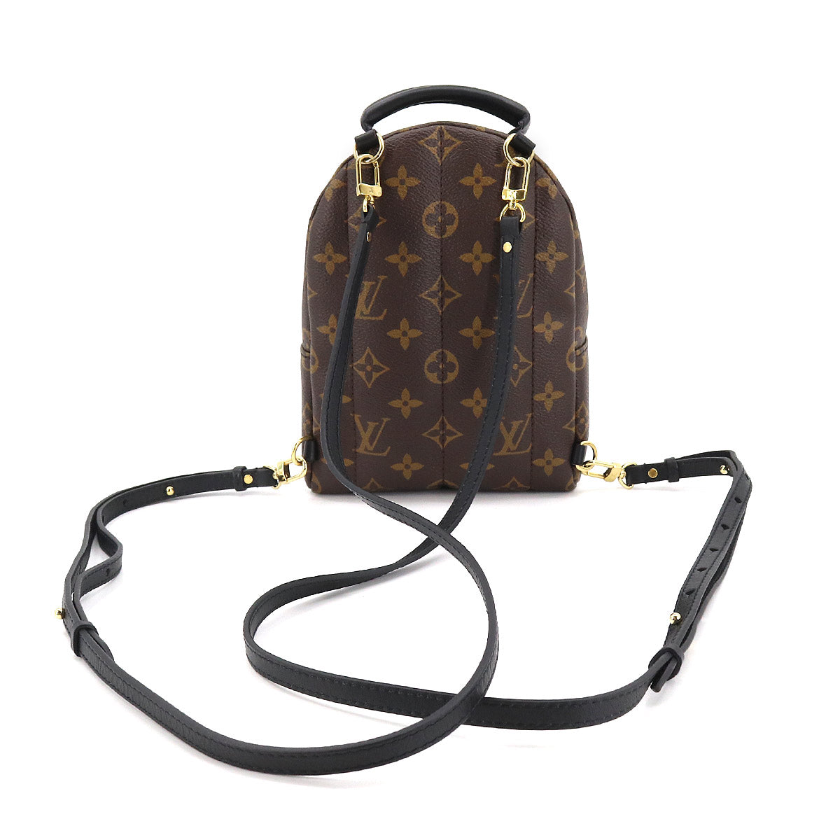 Louis Vuitton Monogram Palm Springs Backpack Mini Rucksack