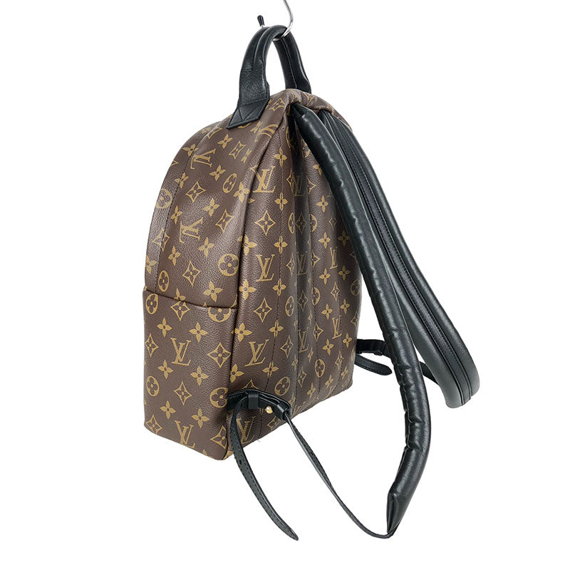 Louis Vuitton Palm Springs Backpack PM Monogram