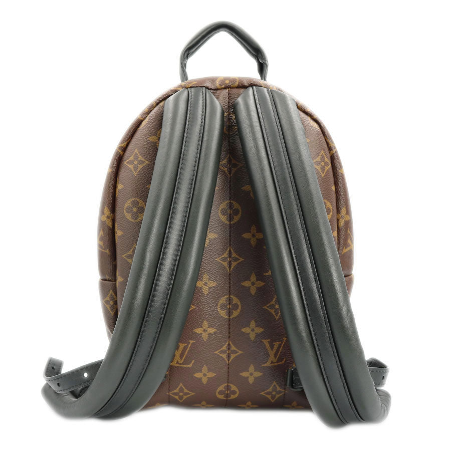 Louis Vuitton Palm Springs Backpack Monogram Brown