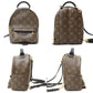 Louis Vuitton Bag Monogram Palm Springs Mini Rucksack Backpack