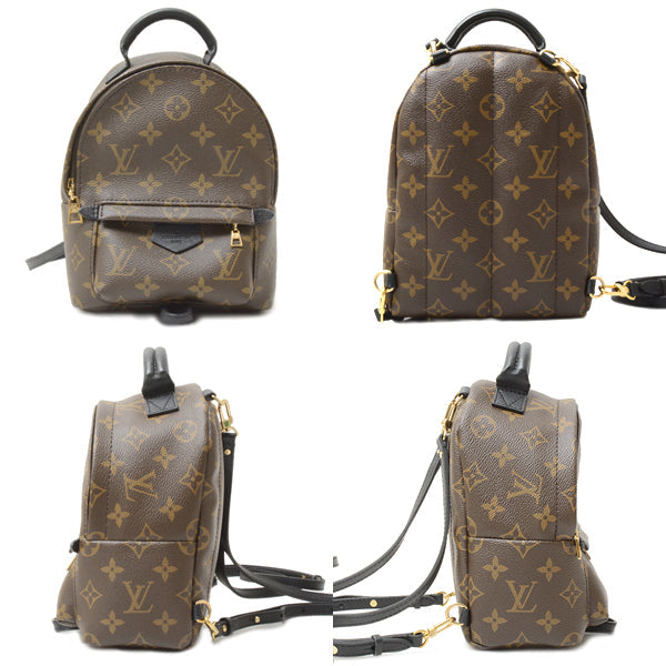 Louis Vuitton Bag Monogram Palm Springs Mini Rucksack Backpack