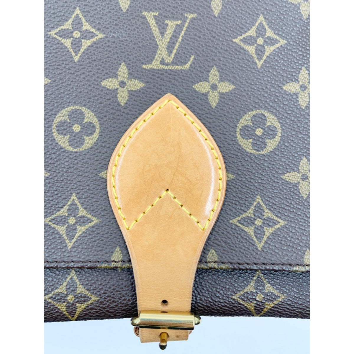 Louis Vuitton Monogram Cartesier Shoulder Bag Brown