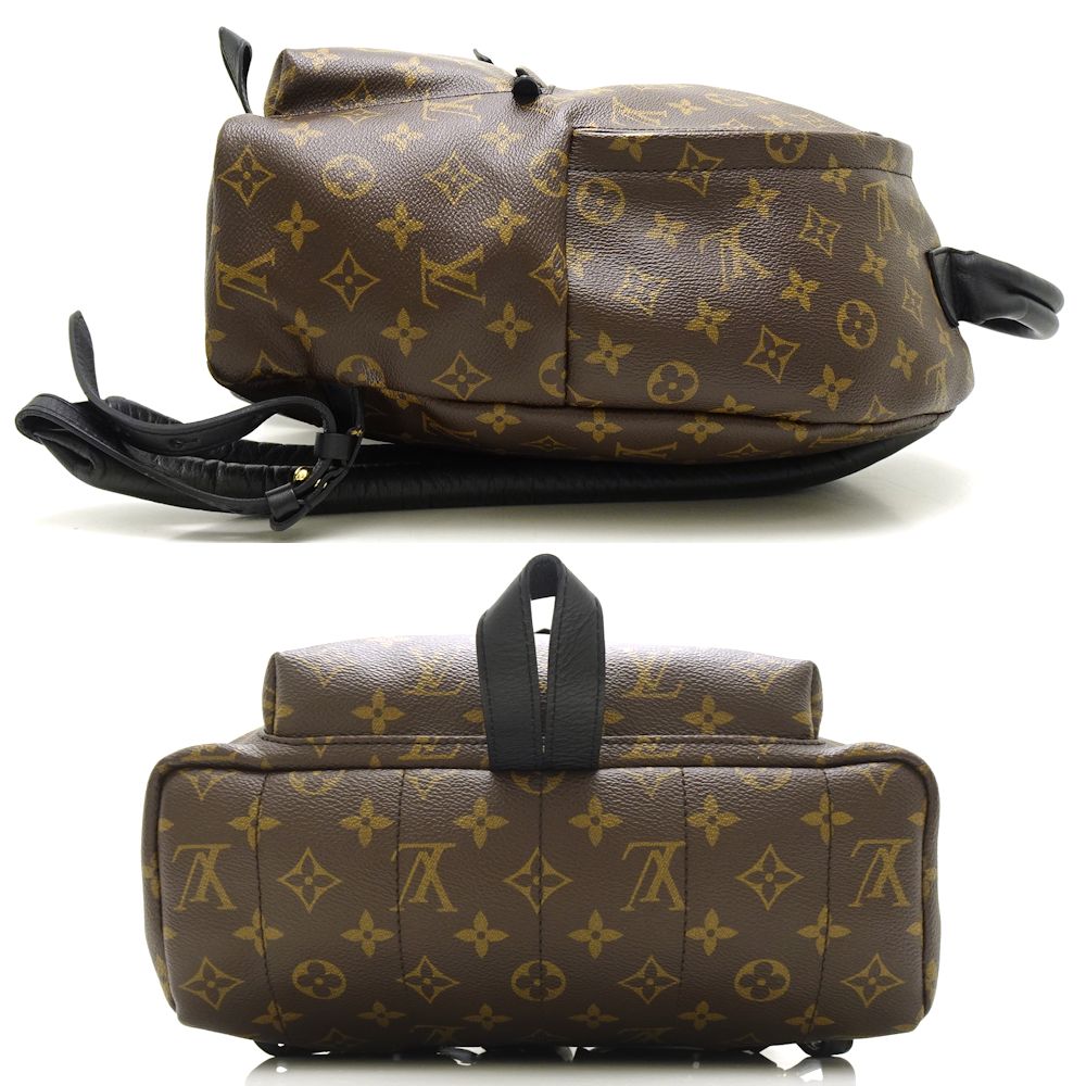 Louis Vuitton Palm Springs Backpack MM Backpack Brown