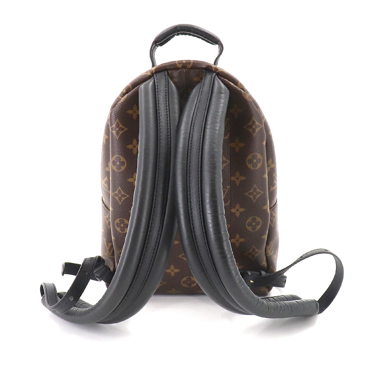 Louis Vuitton Monogram Palm Springs Backpack PM Backpack Brown