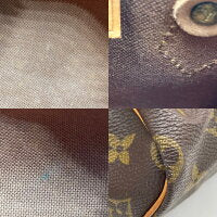 Louis Vuitton Monogram Mini Speedy Mini Shoulder Bag