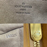 Louis Vuitton Monogram Multicolor Lodge GM Shoulder Bag