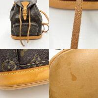 Louis Vuitton Monogram Mini Montsouris PM Backpack