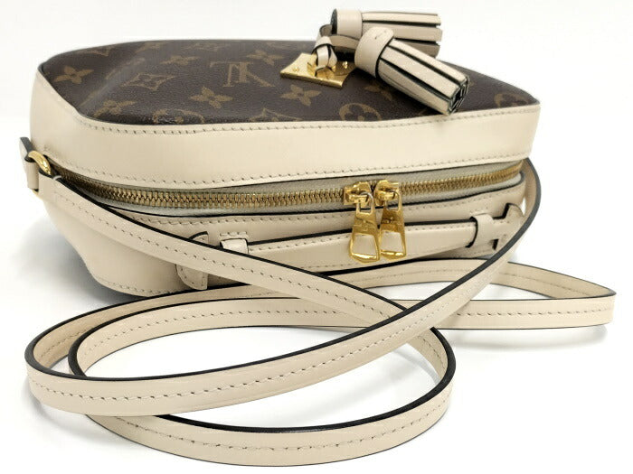 Louis Vuitton Santonge Monogram Leather Shoulder Bag