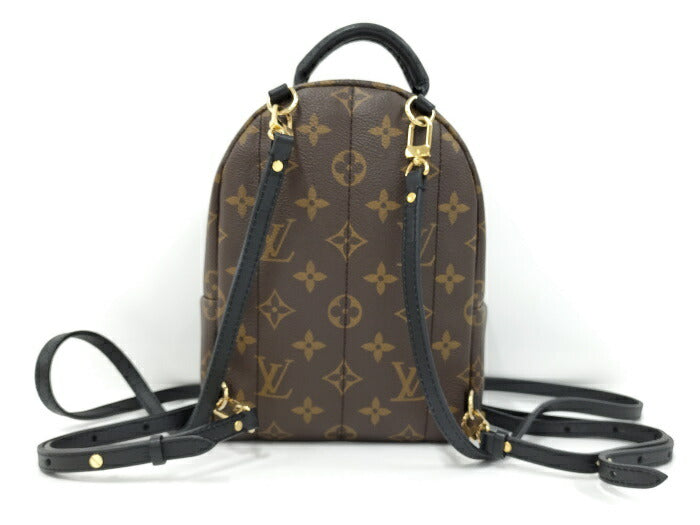 Louis Vuitton Monogram  Palm Springs MINI Rucksack