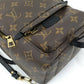 Louis Vuitton Monogram  Palm Springs MINI Rucksack