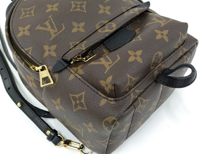 Louis Vuitton Monogram  Palm Springs MINI Rucksack