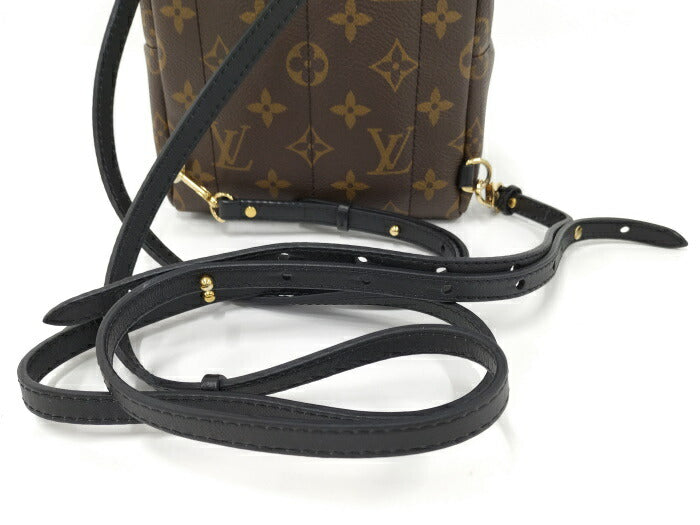 Louis Vuitton Monogram  Palm Springs MINI Rucksack