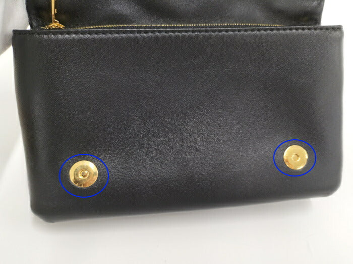 Louis Vuitton Pochette Coussin Chain  Embossed Lamb Leather Shoulder Bag