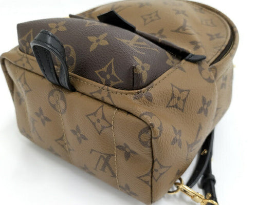 Louis Vuitton Palm Spring Mini Monogram Reverse Backpack