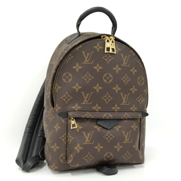 Louis Vuitton Palm Springs PM Monogram Backpack