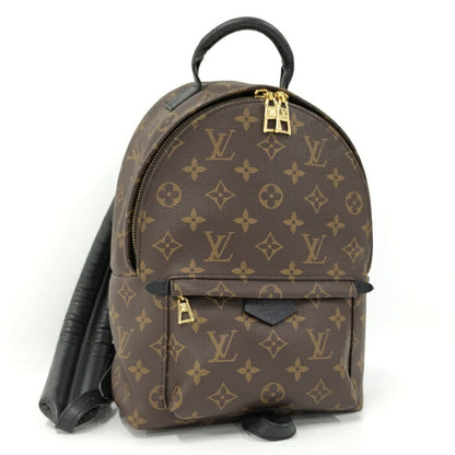 Louis Vuitton Palm Springs PM Monogram Backpack