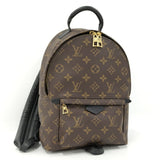 Louis Vuitton Palm Springs PM Monogram Backpack