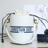 VIBE 18 BUCKET BAG IN WHITE CALFSKIN Amelia