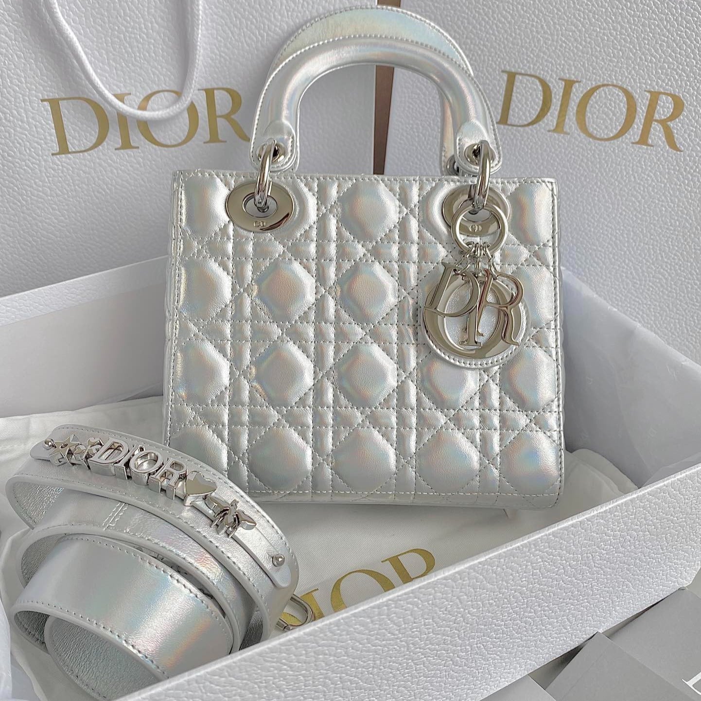 MEDIUM LADY 20 HANDBAG IN SILVER LAMBSKIN Amelia