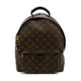 Louis Vuitton Palm Springs Backpack MM Rucksack Bag