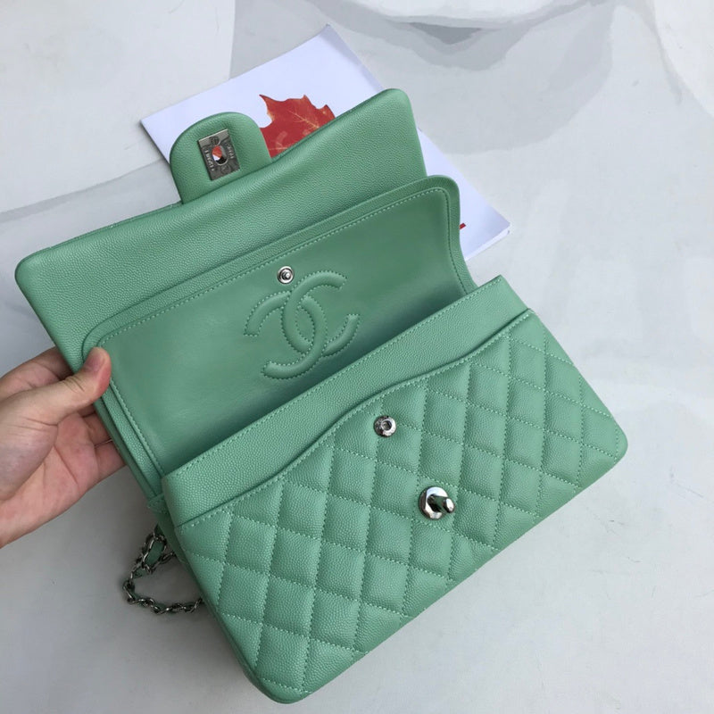 Amelia-  CHL BAGS  - 677