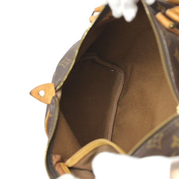 Louis Vuitton Speedy Monogram Handbag